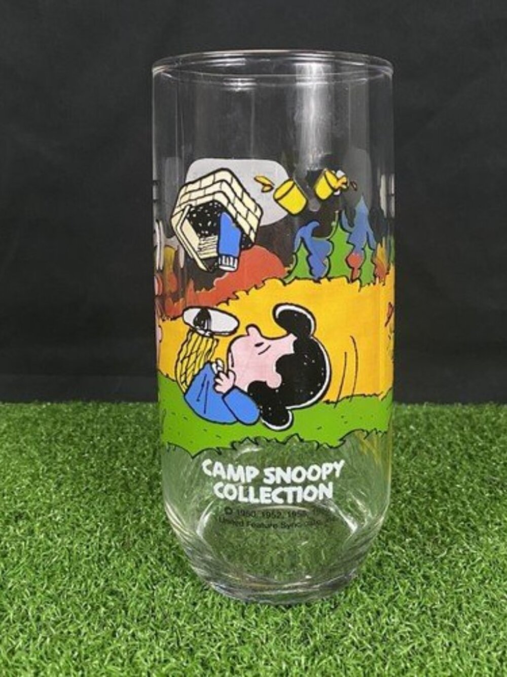 Vintage VTG McDonalds Camp Snoopy Collection Glass Cup "Security is no Picnic"